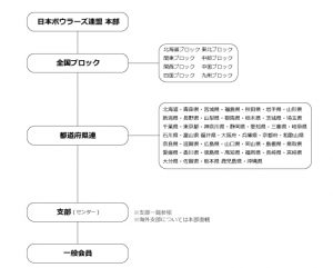 NBF-日本ボウラーズ連盟　組織図